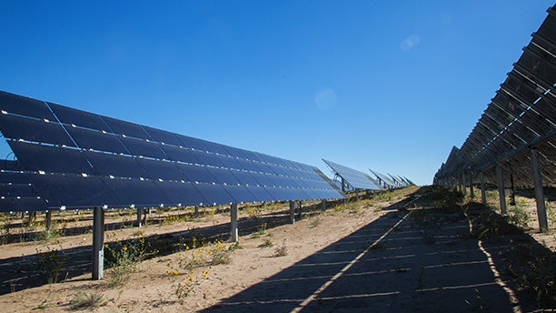 solar farm fort lupton